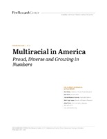 https://www.pewsocialtrends.org/wp-content/uploads/sites/3/2015/06/2015-06-11_multiracial-in-america_final-updated.pdf